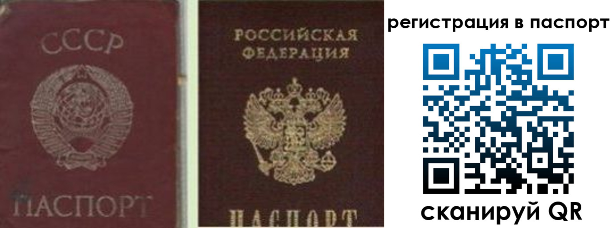 прописка для работы в Мончегорске